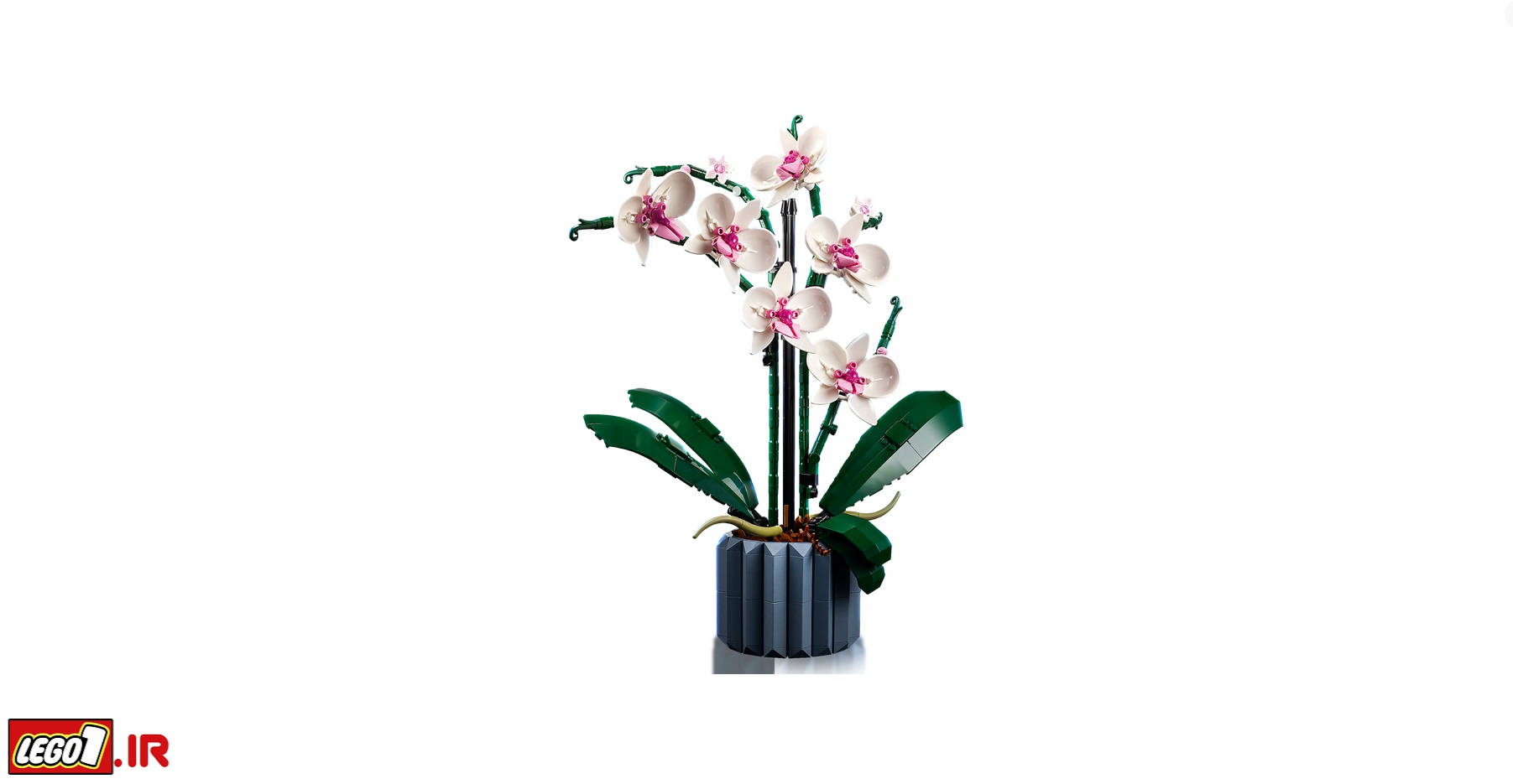 لگو آیکونز گل ارکیده LEGO Orchid 10311 لگو آیکونز گل ارکیده LEGO Orchid 10311