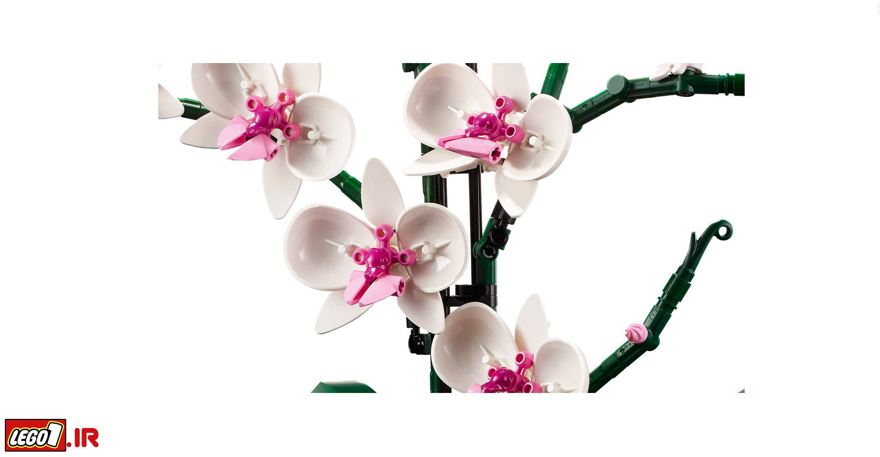 لگو آیکونز گل ارکیده LEGO Orchid 10311 لگو آیکونز گل ارکیده LEGO Orchid 10311