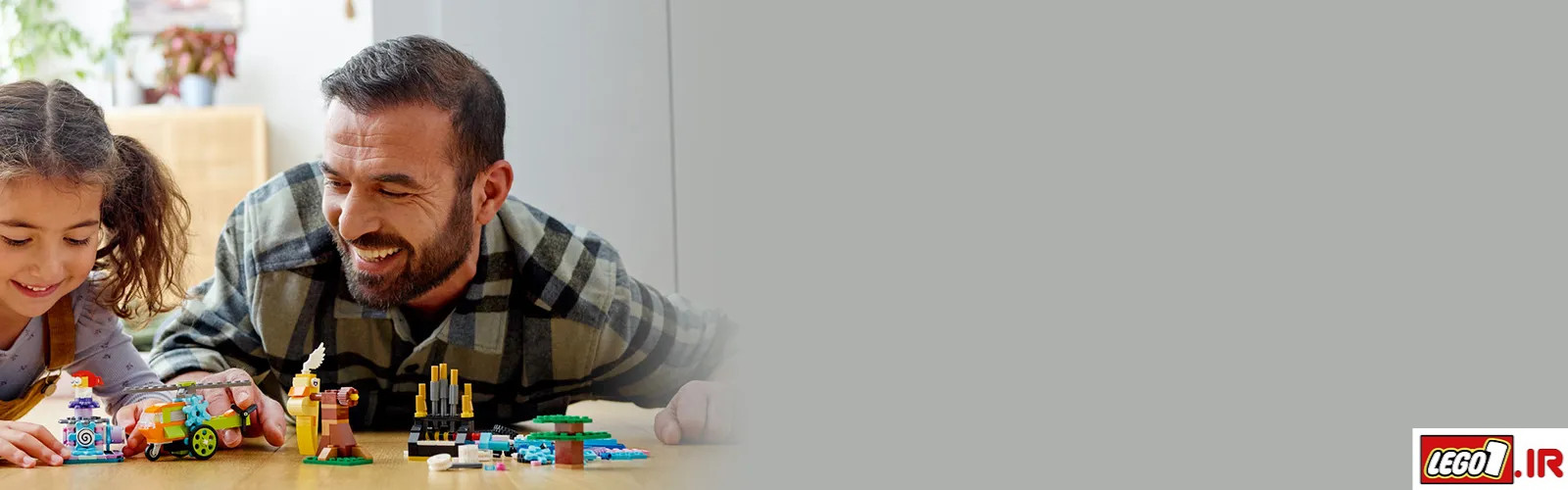 lego classic bricks h 11019 A1 - لگو کلاسیک آجرها و عملکردها LEGO Bricks and Functions 11019